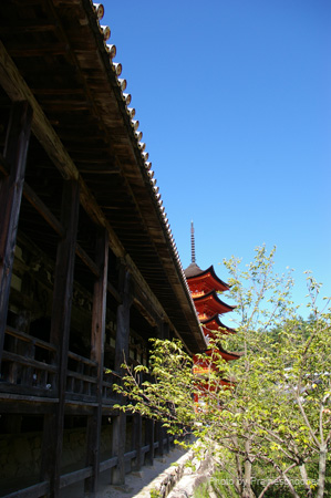 IMGP1438