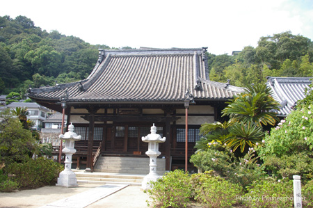 IMGP1707
