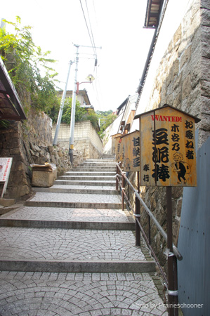 IMGP1714