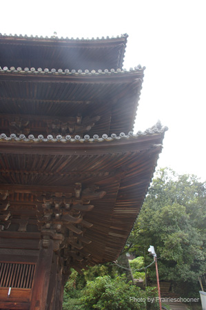 IMGP1716