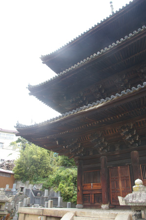 IMGP1717