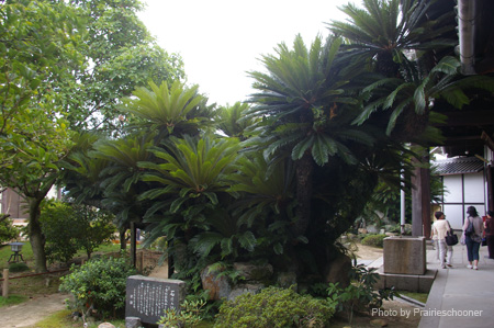 IMGP1719