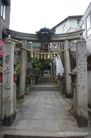IMGP1725
