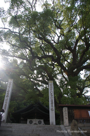 IMGP1726