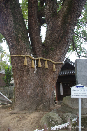 IMGP1727
