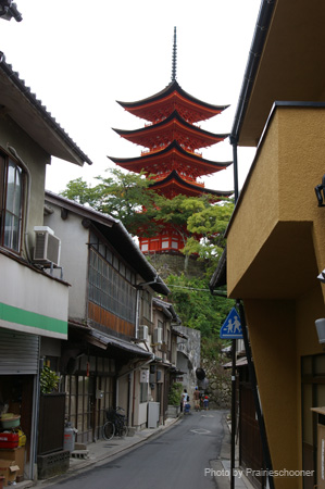 IMGP1734