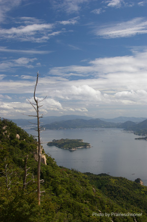 IMGP1747