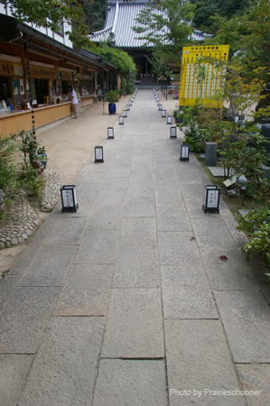 IMGP1765