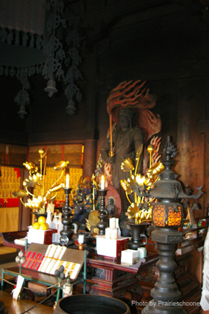 IMGP1767