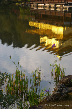 IMGP2083