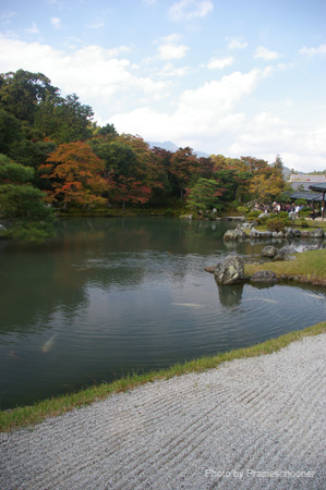 IMGP2171