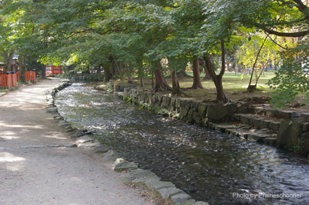 IMGP1926