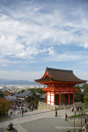 IMGP1932