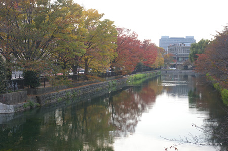 IMGP1941