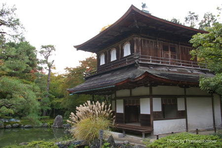 IMGP1957