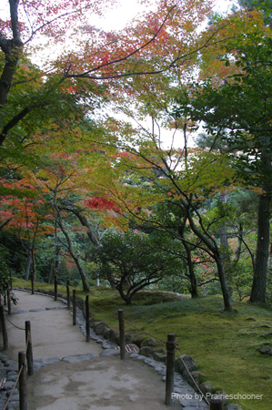 IMGP2001