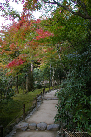 IMGP2006